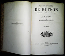 Charger l'image dans la galerie, Œuvres complètes de Buffon en 5 tomes, M.A. Richard, 1837 ?
