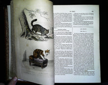 Charger l'image dans la galerie, Œuvres complètes de Buffon en 5 tomes, M.A. Richard, 1837 ?