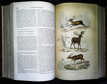 Charger l'image dans la galerie, Œuvres complètes de Buffon en 5 tomes, M.A. Richard, 1837 ?