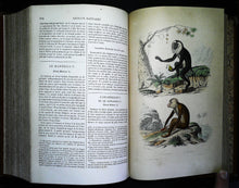 Charger l'image dans la galerie, Œuvres complètes de Buffon en 5 tomes, M.A. Richard, 1837 ?