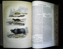 Charger l'image dans la galerie, Œuvres complètes de Buffon en 5 tomes, M.A. Richard, 1837 ?