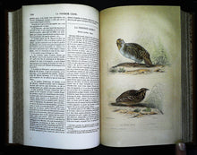 Charger l'image dans la galerie, Œuvres complètes de Buffon en 5 tomes, M.A. Richard, 1837 ?