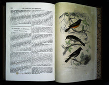 Charger l'image dans la galerie, Œuvres complètes de Buffon en 5 tomes, M.A. Richard, 1837 ?