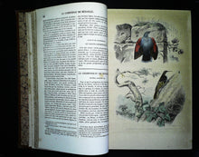 Charger l'image dans la galerie, Œuvres complètes de Buffon en 5 tomes, M.A. Richard, 1837 ?
