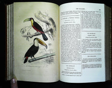 Charger l'image dans la galerie, Œuvres complètes de Buffon en 5 tomes, M.A. Richard, 1837 ?
