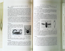 Charger l'image dans la galerie, Comment survivre sur terre et sur mer, sauvetage individuel