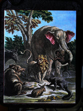 Charger l'image dans la galerie, Coffret Les fables de La Fontaine illustrées par Jean-Baptiste Oudry, Diane Deselliers Editeur
