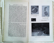 Charger l&#39;image dans la galerie, Enquête judiciaire sur l&#39;assassinat de la famille impériale russe, Nicolas Sokoloff, juge d&#39;instruction près le tribunal d&#39;Omsk, 1929
